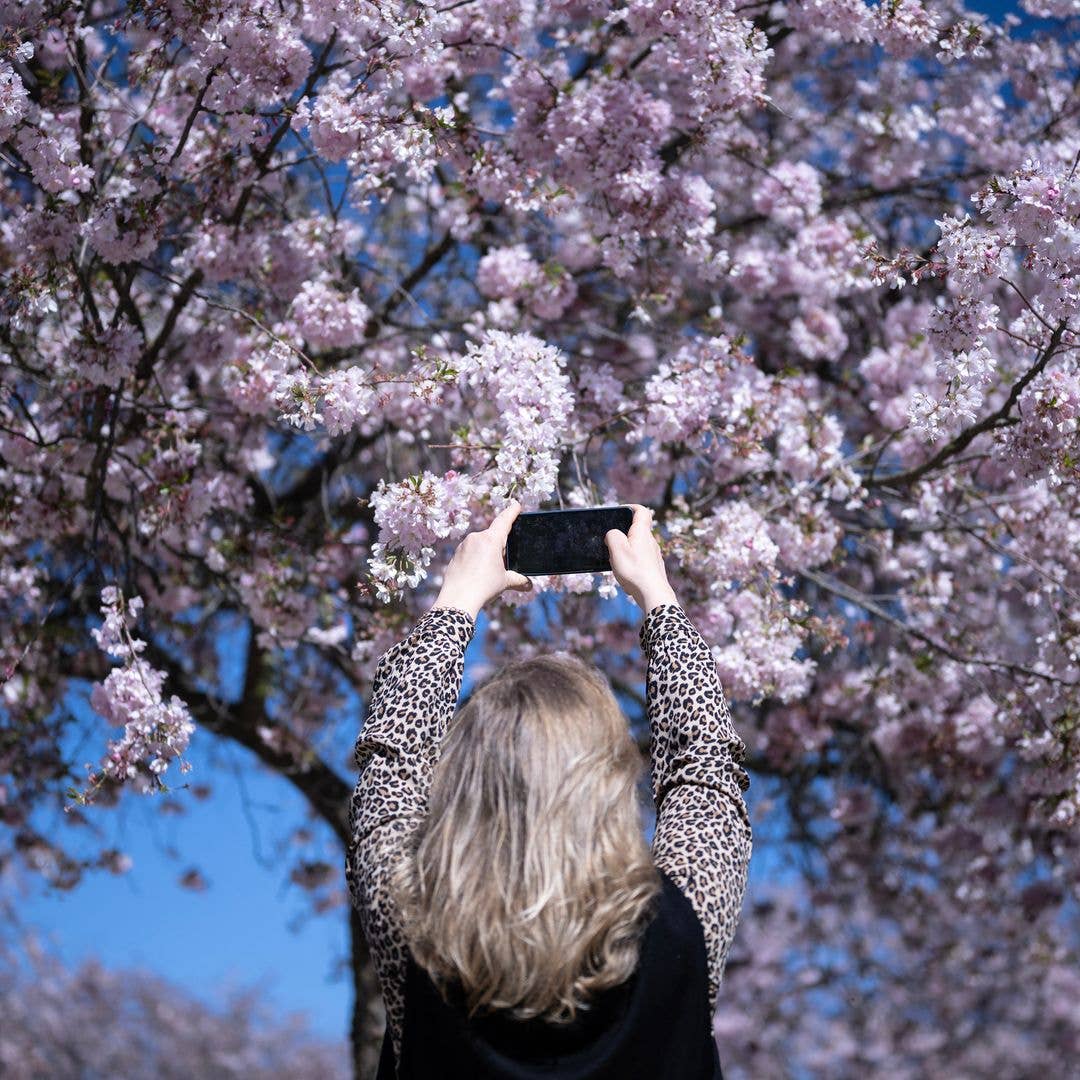 Why vitamin D is so important during menopause — and you might still need supplements when the sun is shining