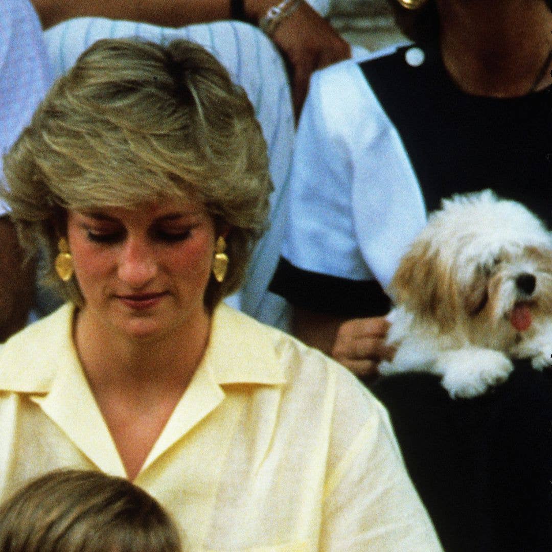 Princess Diana's stylist shares dog-walk proof hairstyle